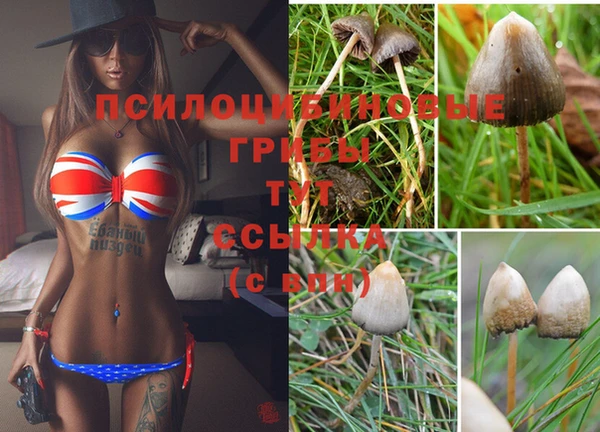 гашиш Армянск