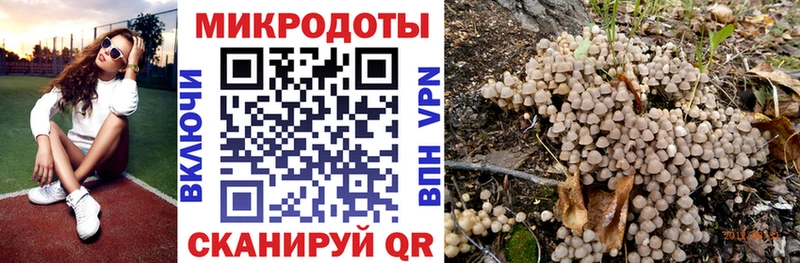 Псилоцибиновые грибы GOLDEN TEACHER  МЕГА рабочий сайт  Тында 
